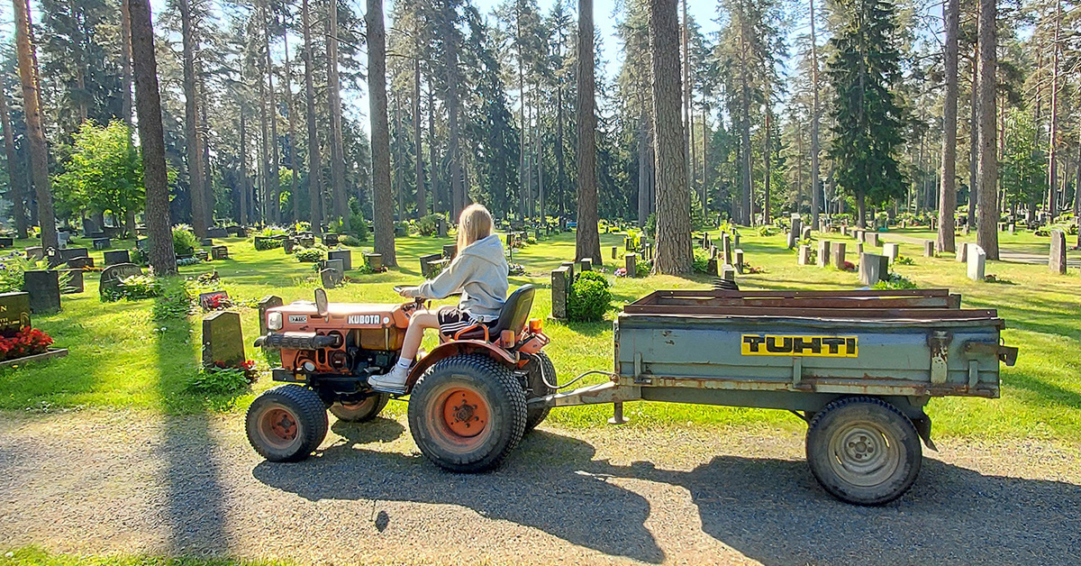 Kesätyöntekijä ajaa hautausmaalla traktorilla peräkärry perässään.